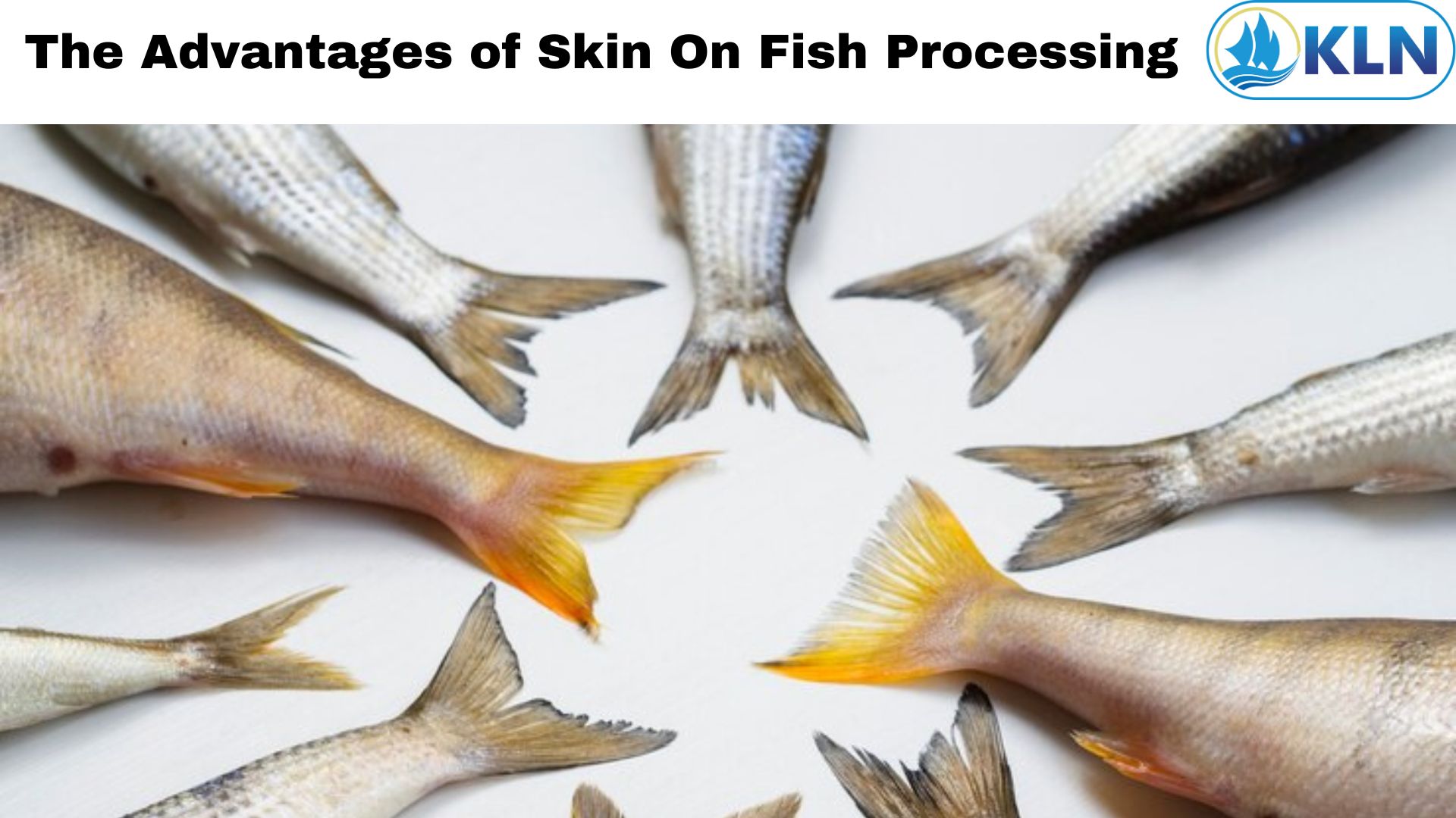 The Advantages of Skin On Fish Processing